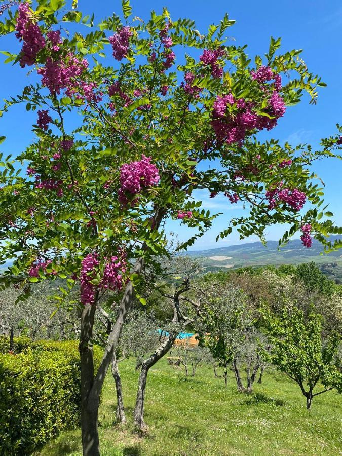 Willa Casa Di Coraggio Volterra Zewnętrze zdjęcie